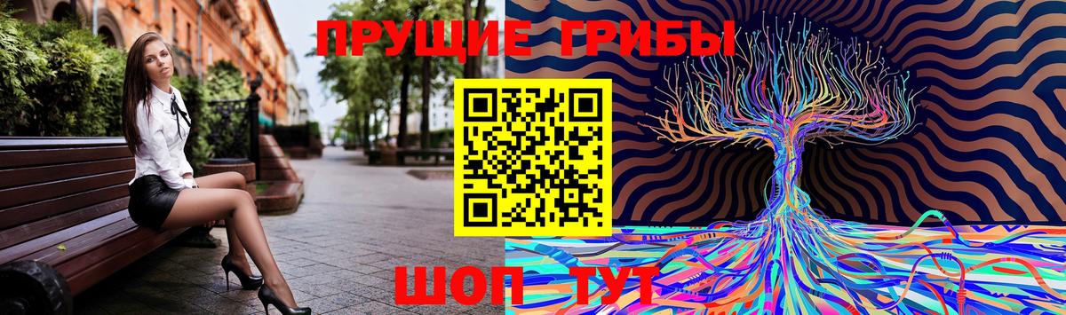 Псилоцибиновые грибы Cubensis Калининград